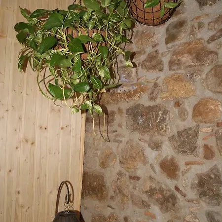 Apartament Codina 40 דירה *