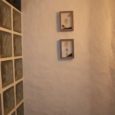 Lägenhet Apartament Codina 40 *