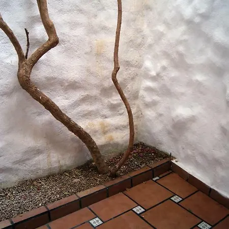 Apartament Codina 40 *