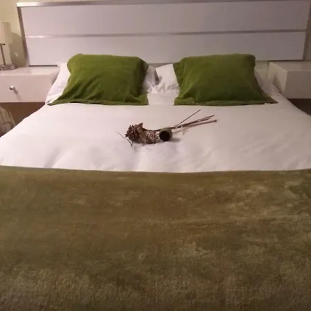Апартаменты Apartament Codina 40 *